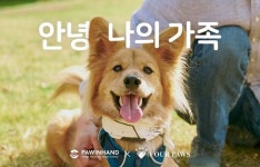 포포즈-포인핸드, 유기동물 입양 인식 개선 기부캠페인