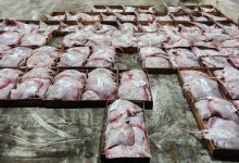 ‘홍어 1번지’ 명성 군산에 뺏길라…전남 해법 찾기 고심