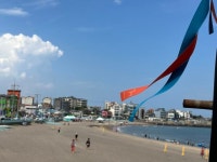 암 수술 뒤, 건강 되찾았다…제주 올레 맨발걷기 성지 30곳