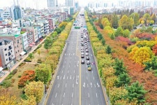 느티나무길·은행나무길 걸어볼까…산림청 픽 가로수길 6곳