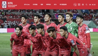 [단독] 심판 밀쳤다고 지도자 등록거부…法 “축구협회 규정 위법”