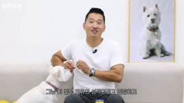 다시 영상 올려줘 고맙다…개통령 강형욱 복귀에 응원 쏟아졌다