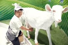 [소년중앙] 전북 임실에서 찾았어요, 한국인 입맛 맞춤 국내산 치즈 탄생기