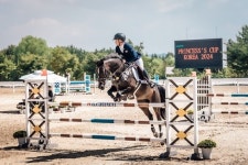 한국-태국 승마 교류전, 인천서 펼쳐진다...비그림·낙월 후원