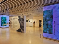 한 평 감옥에서 광야 떠올린 이육사…화가들이 그렸다.