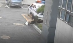 손톱·두피 다 까졌다 온몸 굳은 채 파출소 앞 쓰러진 男, 무슨 일