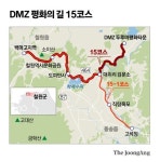 너른 철원 평야, 한탄강변 24만㎡ 꽃밭…눈부신 평화의길