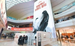 [issue&] 반려동물과 특별한 추억을 만드세요…스타필드 하남서 첫 단독 브랜드 팝업