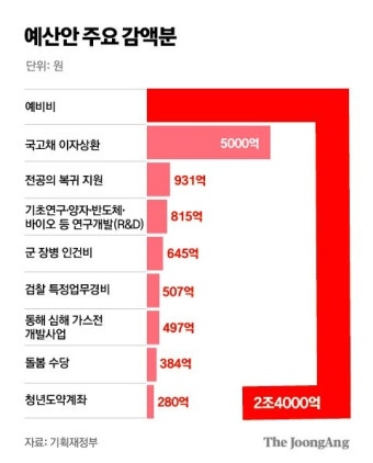 헌정사 첫 ''野감액 예산' 국회 통과…탄핵 엎친데 예산리스크까지 덮쳤다