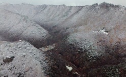 모텔서 첫눈 기다리는 마음…내장산엔 가을·겨울 교차했다