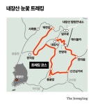 모텔서 첫눈 기다리는 마음…내장산엔 가을·겨울 교차했다