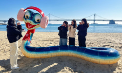 [포토타임]  광안리해수욕장 을사년 새해 뱀 상징 조형물 등장