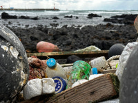 용 놀이터가 쓰레기 놀이터로…中불청객 2500t, 제주 바다 덮쳤다