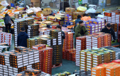 [사진] 설맞이로 분주한 도매시장