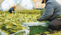 [비즈스토리] 곰곰·탐사·코멧…쿠팡 PB 만나 중소 제조사도 동반성장