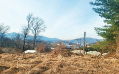 [분양 포커스] 준강남 하남 교산동 택지지구 인접 토지 수의계약 진행, 주변 시세 대비 매우 저렴
