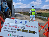 ‘구제역 청정’ 전남이 뚫렸다…“방역수칙 지켰는데” “백신 맞아도 불안”