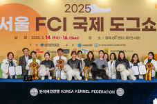 디지털서울문화예술대학교 반려동물학과, KKF 전국 애견미용 콘테스트에서 빛나는 성과 거둬