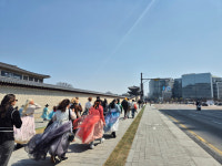 광화문 앞 불법 천막 치운 민주당…일상 찾은 광화문