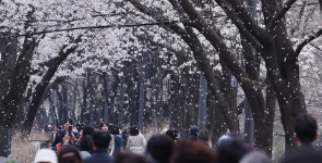 [포토타임] 미국 상호관세 발효...코스피는 2300 밑으로