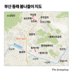 4대째 대물림한 전설의 노포…파전을 찌듯이 지지는 이곳