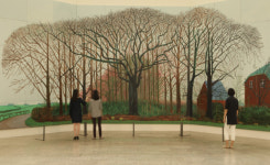 [이사빈의 수장고 안팎 훑기] 고정된 시점 벗어난 사진들로 재현한 그랜드캐니언