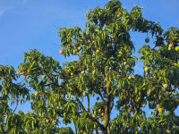 17㎞ 롱 비치 몽땅 내것 된다…나트랑 옆 숨은 보석의 발견