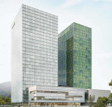 [비즈스토리] 검색부터 쇼핑·플레이스·숏텐츠까지 ‘AI 브리핑’ 도입해 4000만 사용자 공략