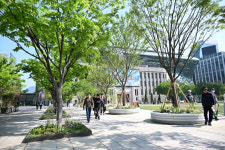서울광장, 한국의 매디슨 스퀘어 파크로…정원 같은 광장으로