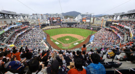 야구·축구 1위…노잼 대전, 꿀잼됐다