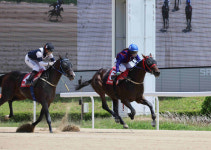 경매시장서도 안 팔린 그 말, 상금 45억 우승마 만든 그녀