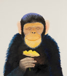 [소년중앙] ‘고릴라 할아버지’와 떠나는 신비한 그림책 여행