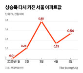 吏묎컪留 移섏넖뒗 '吏묓뵆젅씠뀡'...