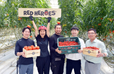 30대 청년은 토마토 키워 대박…충북 1억 농부 만들기 실험