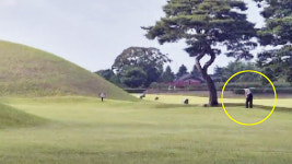 한국선 저래도 돼? 외국인도 충격…왕릉서 골프 연습한 남성