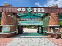 40살 하마 히뽀 떠난 뒤…전면 개선 예고한 광주 우치동물원, 왜