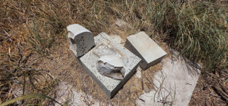 노름꾼 조부, 독립영웅이었다니… 하와이 한인 3세 한 풀어준 그들