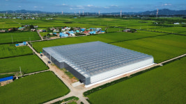 직장 그만둔 청년, 매출 5억 찍었다…부농 꿈 키우는 스마트팜