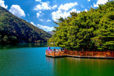 편백향 맡으며 명절 스트레스 훌훌…전국 명품숲길 10선