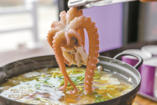 무안낙지축제에 낙지가 없다? 9월까지 푹푹 찌더니 이런 일