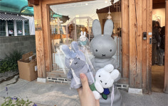 단지 귀여워서가 아니다…미피가 건드린 MZ 감정 소비 [비크닉]