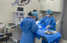 [2025 한국브랜드 소비자평가 대상] 반려동물 의료 서비스 옥길아라동물의료센터