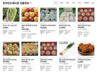 유통비 줄이고, 농가수입 늘리고…낡은 농산물 유통구조 깬 ‘온라인도매’