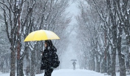 [포토타임] 눈·비에 건조 해소…낮 최고 16도 포근