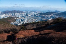 몸빼 할매들이 발로 꾹꾹…이 막걸리 한잔에 등산 피로 싹