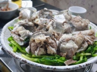 벚꽃에 먹고 복사꽃에 멈춰라…치명적 미식, 복요리 최고맛집