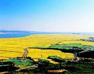 4월 8일 부동산 파일  