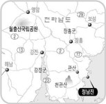 월출산 녹음에 흠뻑 취해 남도길 황홀한 드라이브