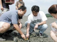 난배양 미생물 베일 벗는다