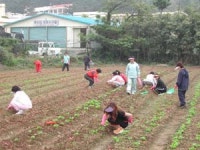 ‘유기농’ 급식 친환경 입맛 전도사
